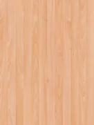0157 NA Obir Beech