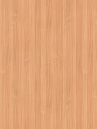 0291 NA Beech II