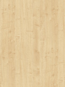 0375 PR MAPLE