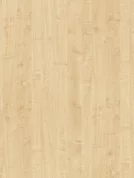 0375 PR MAPLE