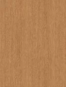 0740 PR Mountain Oak