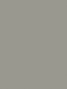 0859 PE Platinum