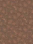 45274 DC Corten