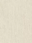 8547 SN Fineline Creme
