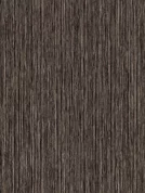 8656 SN Zebrano Nuance