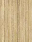 8995 SN Coco Bolo