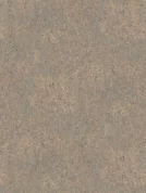 F371