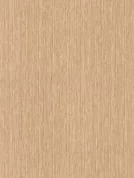 H3006