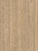 K076 PW Sand Expressive Oak
