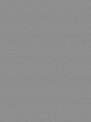 K372 GM Grey Andromeda
