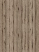 K5575 IR Dub Fossil