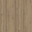 R24031 Buche Scandic dunkel
