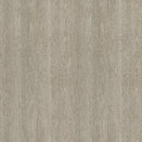 R50083 Silberwenge