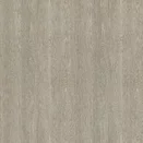 R50083 Silberwenge