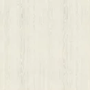 R55001 Pinie Navarra
