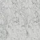 S63009 Marmor Carrara