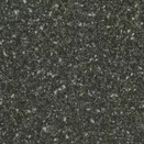 S66015 Dexter schwarz