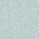 S66016 Dexter aqua